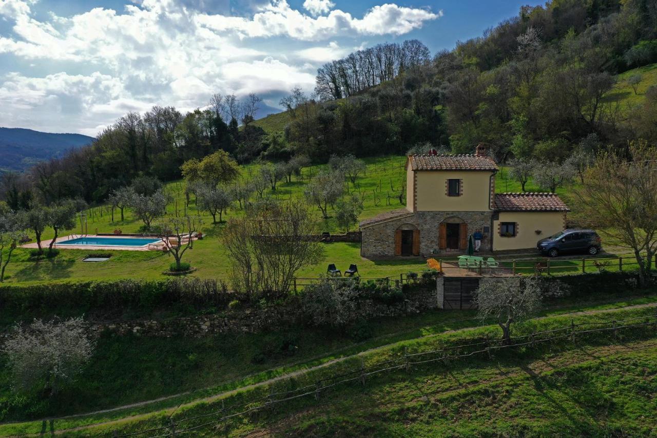 Villa San Regolino Whit Private Pool Radicondoli Extérieur photo