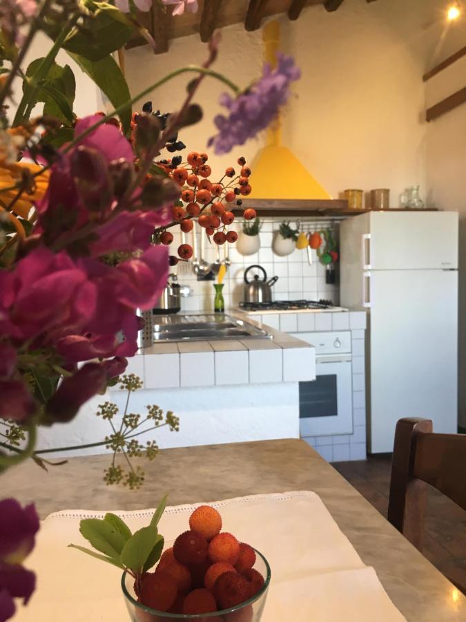 Villa San Regolino Whit Private Pool Radicondoli Extérieur photo